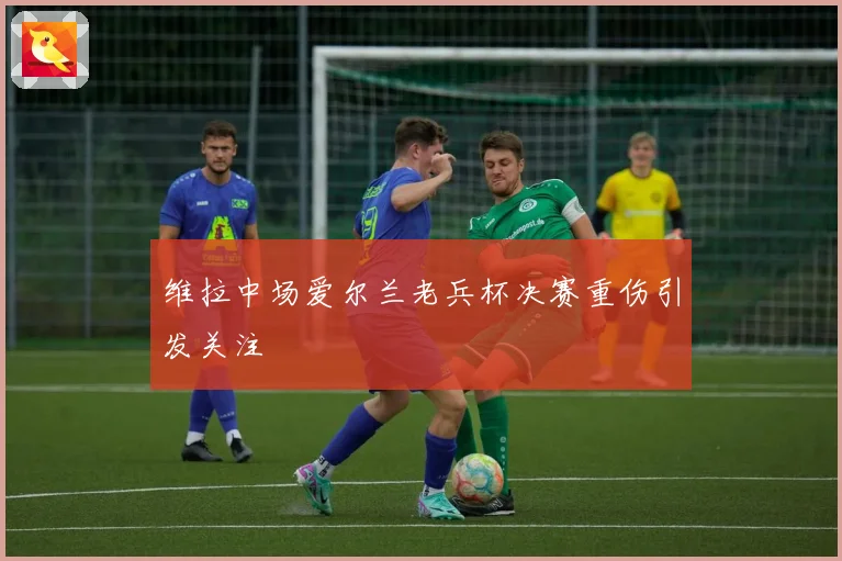 维拉中场爱尔兰老兵杯决赛重伤引发关注