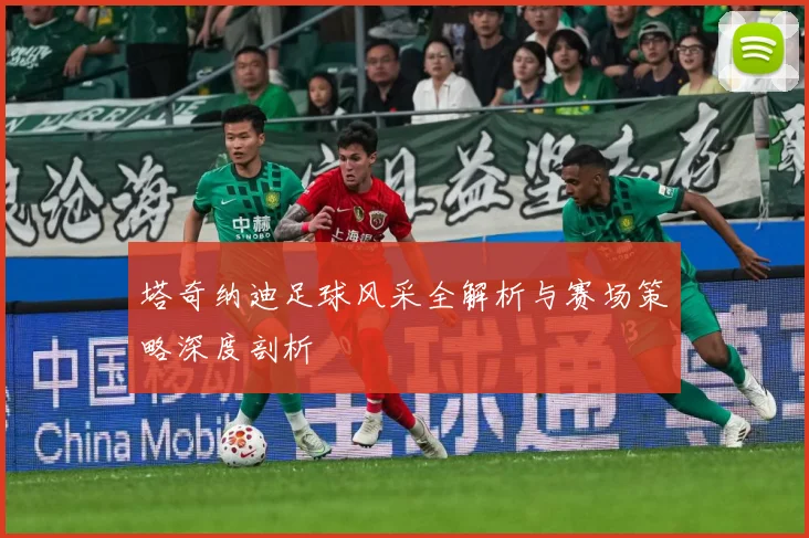 塔奇纳迪足球风采全解析与赛场策略深度剖析