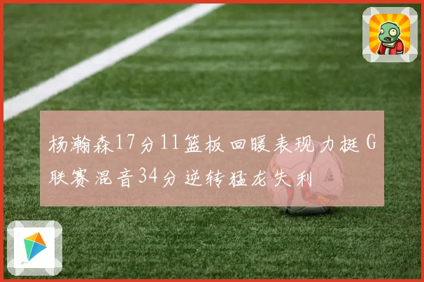 杨瀚森17分11篮板回暖表现力挺 G联赛混音34分逆转猛龙失利