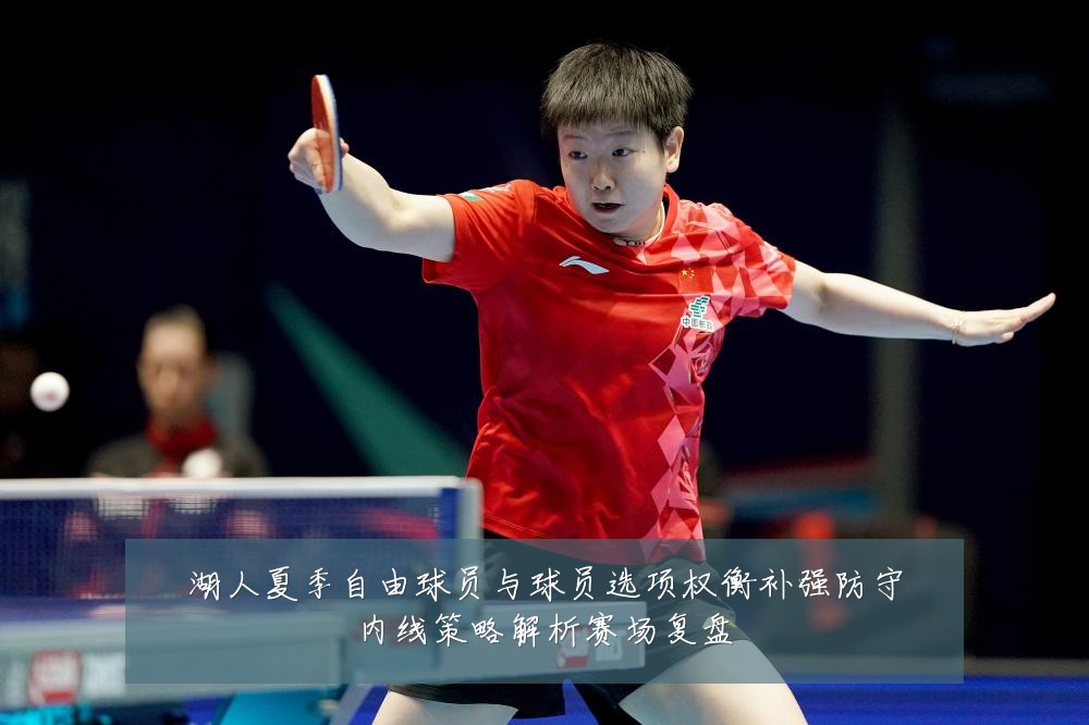 湖人夏季自由球员与球员选项权衡补强防守内线策略解析赛场复盘