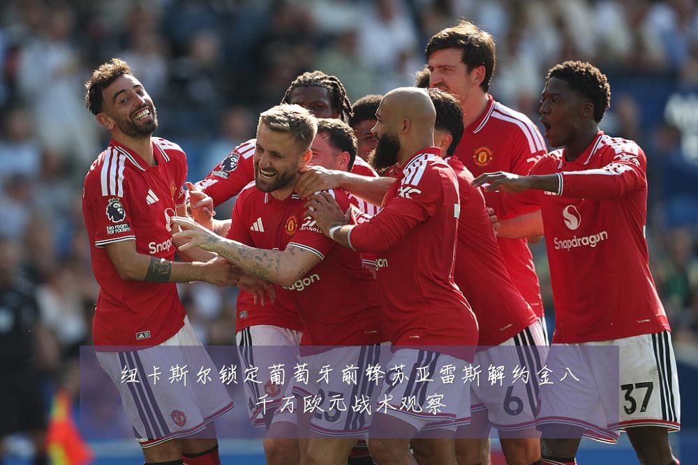纽卡斯尔锁定葡萄牙前锋苏亚雷斯解约金八千万欧元战术观察